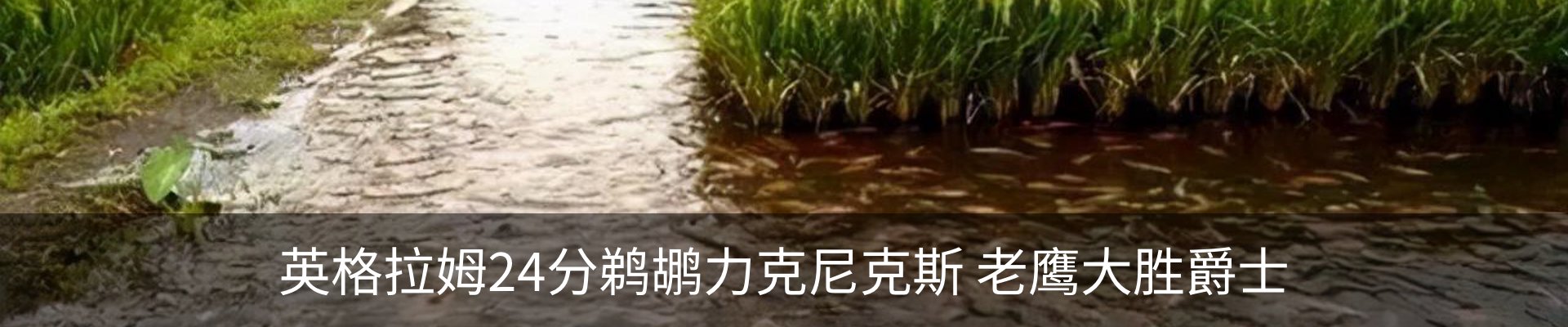 资讯中心